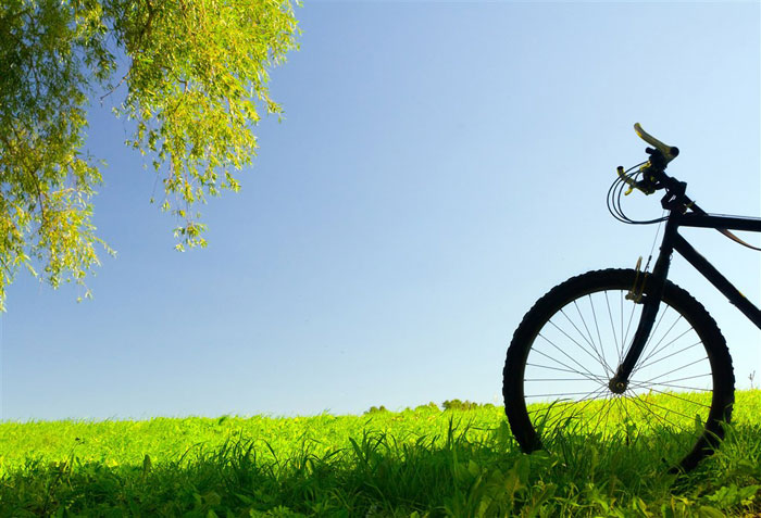 即即是春风十里，，依然不如你