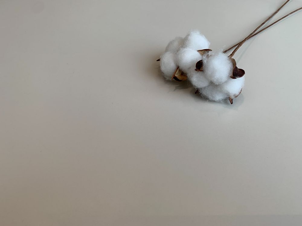 中国·银河集团9873cm(股份)有限公司-官方网站